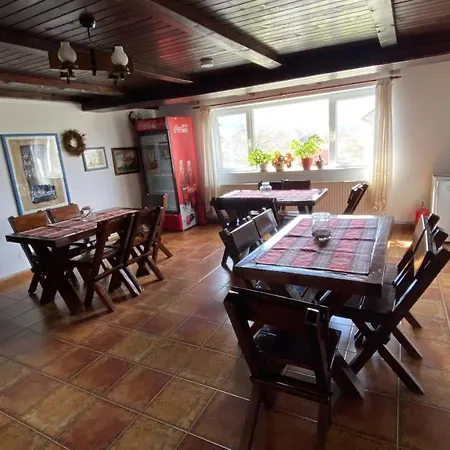 Guest house Pensiunea Cerbul Carpatin