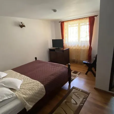 Guest house Pensiunea Cerbul Carpatin 3*