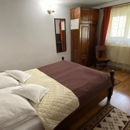 Pensiunea Cerbul Carpatin Guest house