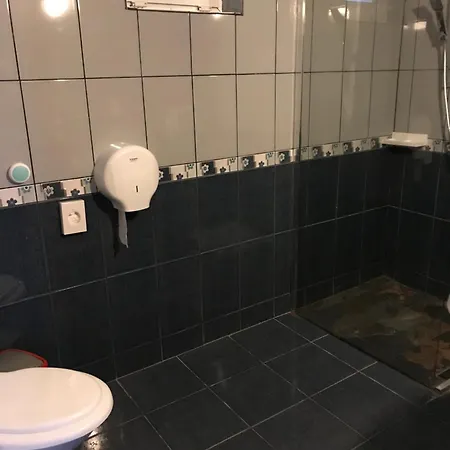 Guest house Pensiunea Cerbul Carpatin 3*