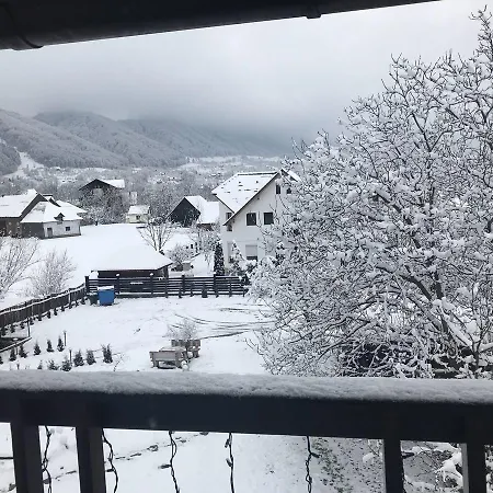 Pensiunea Cerbul Carpatin 3*