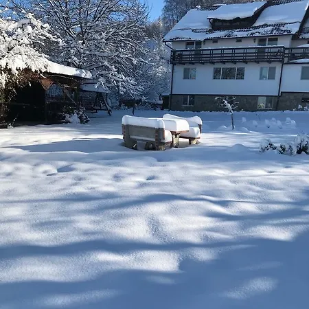 Pensiunea Cerbul Carpatin 3* Bran (Brasov)