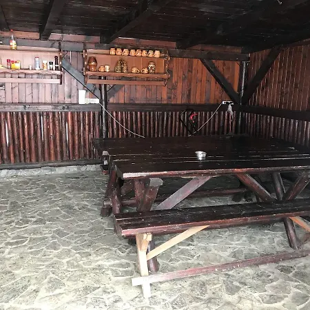 Guest house Pensiunea Cerbul Carpatin