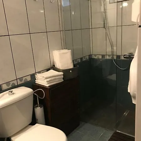 Pensiunea Cerbul Carpatin Guest house