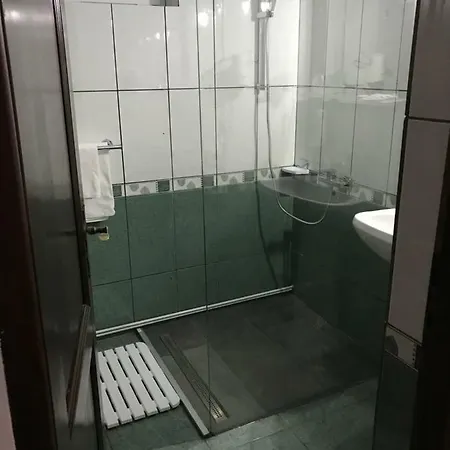 Guest house Pensiunea Cerbul Carpatin 3*